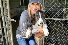 341851077_508631691335606_983432690878557061_n