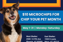 Discount Chips - 1