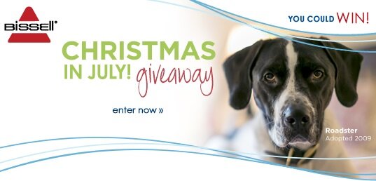 Christmas in July Giveaway