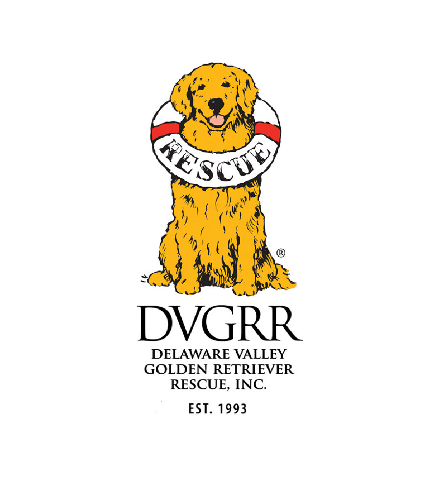 Delaware Valley Golden Ret Rescue