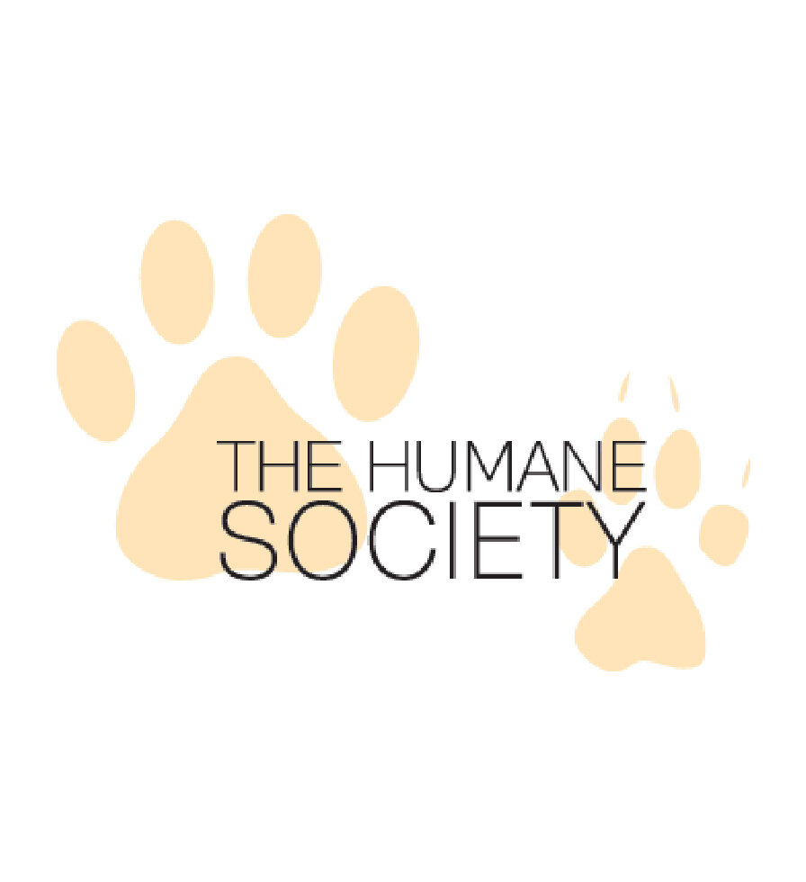 broome county shelter broome county humane society bissell pet foundation broome county shelter broome county humane society bissell pet foundation
