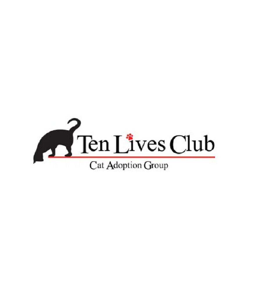ten lives cat rescue blasdell ny