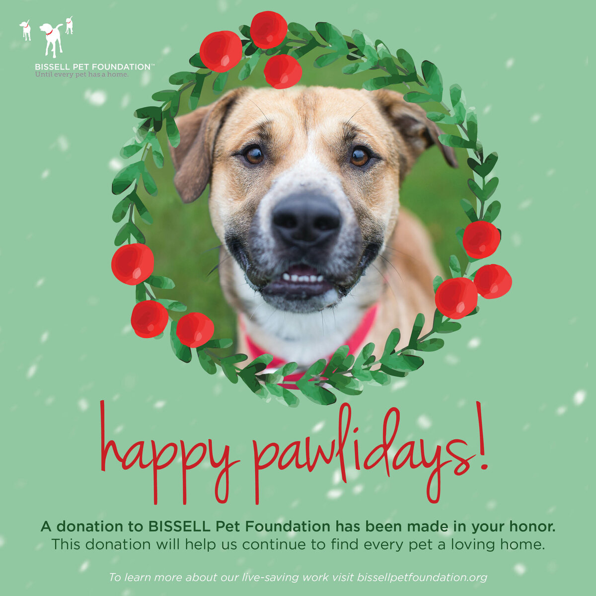 Holiday_Cards