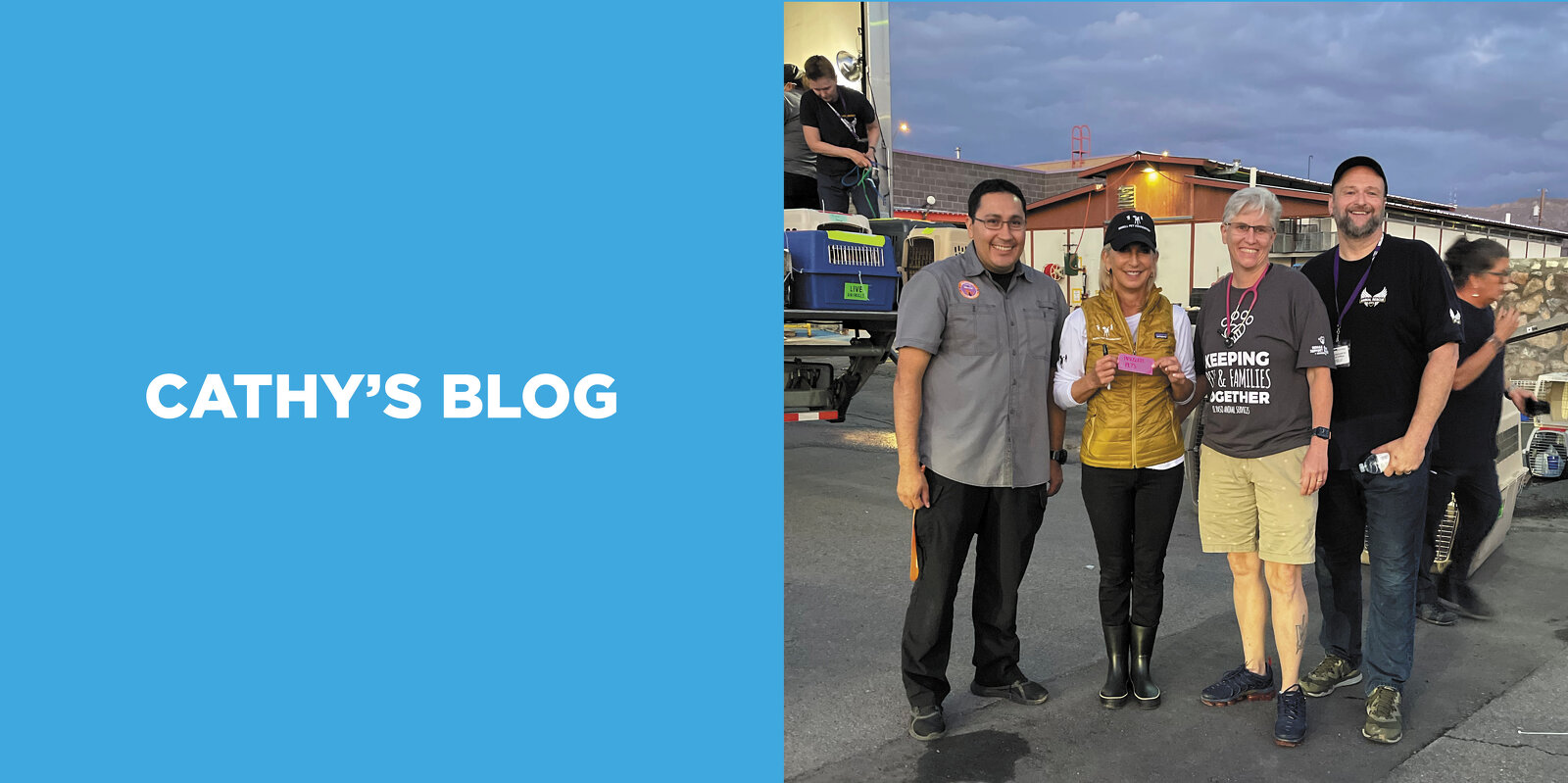 Cathy's Blog