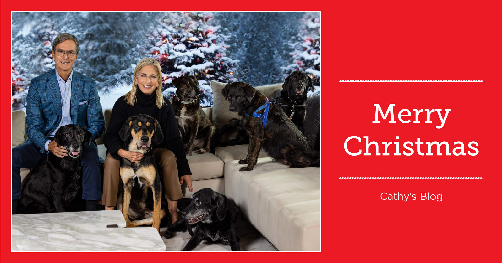 Cathy's Blog - Holiday Photo