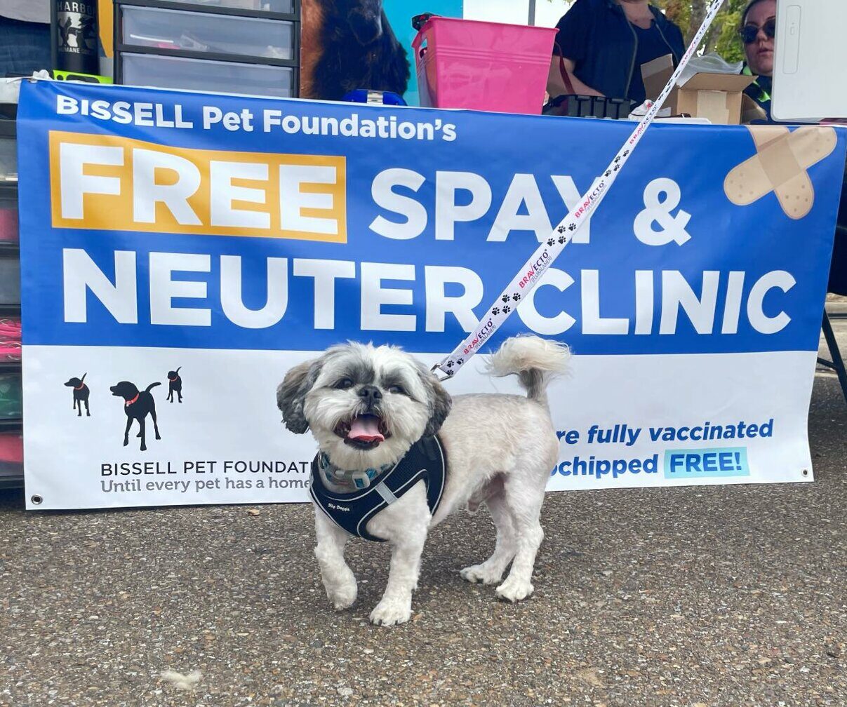 small dog in front of spay neuter clinic banner
