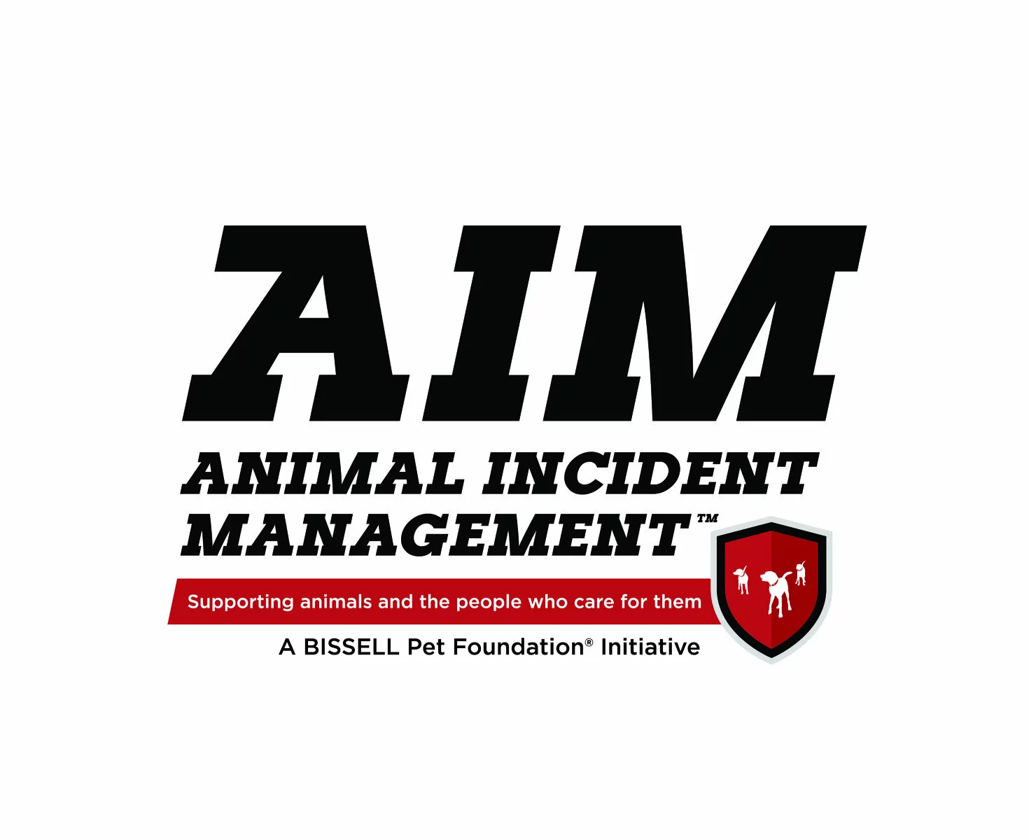 AIM logo with TM