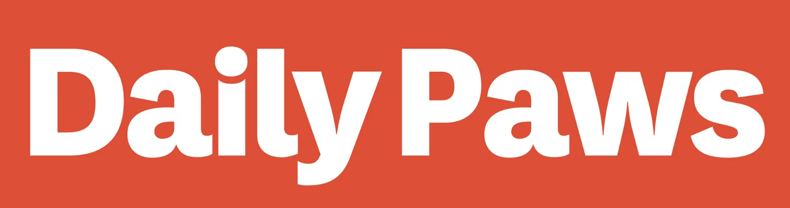 Daily Paws Logo