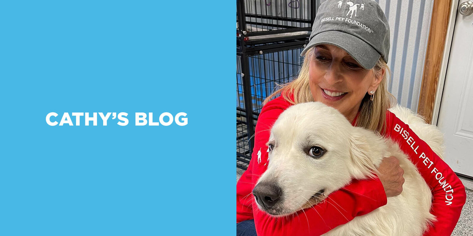 Cathy's Blog on the Shelter Crisis