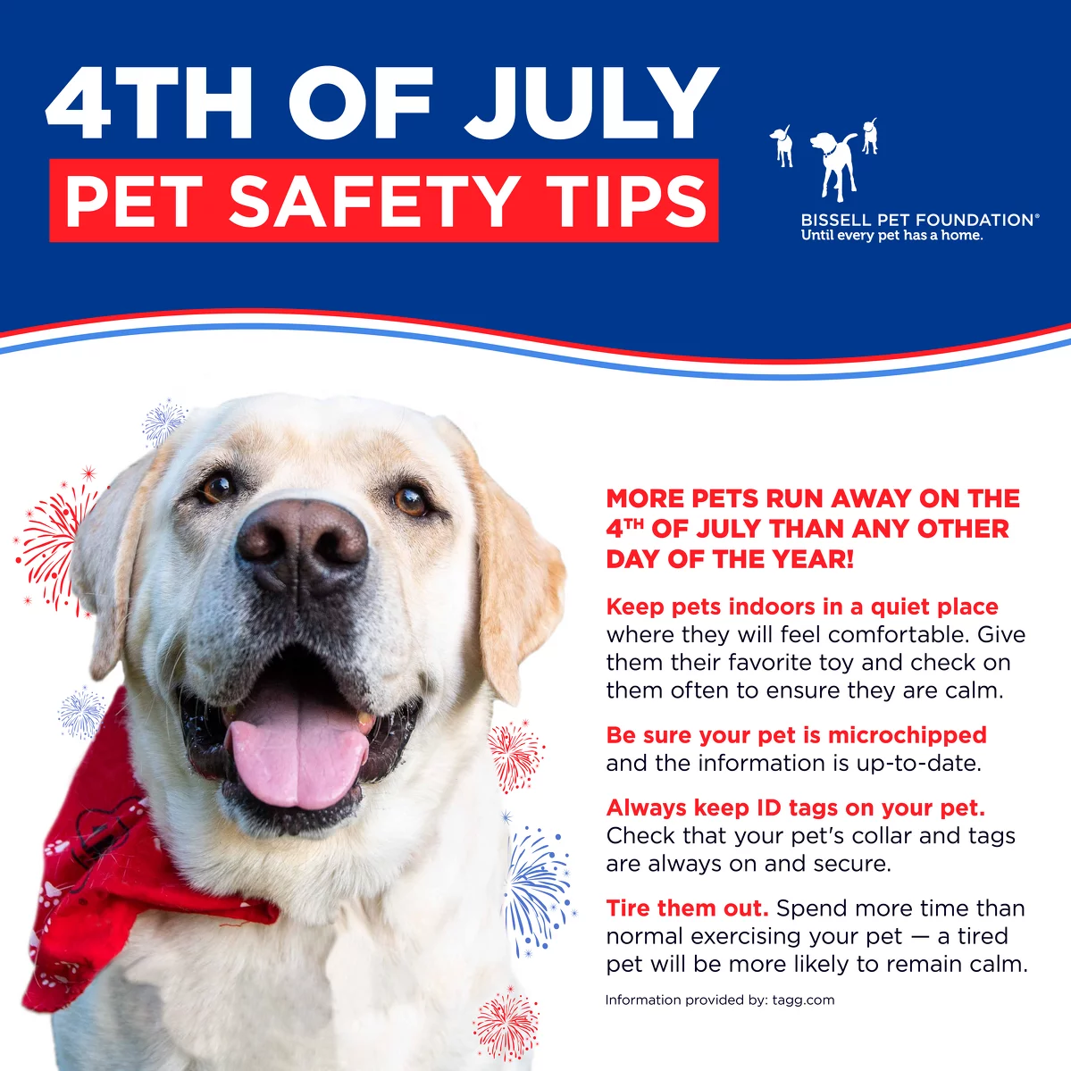 Fourth of July pet safety informational graphic