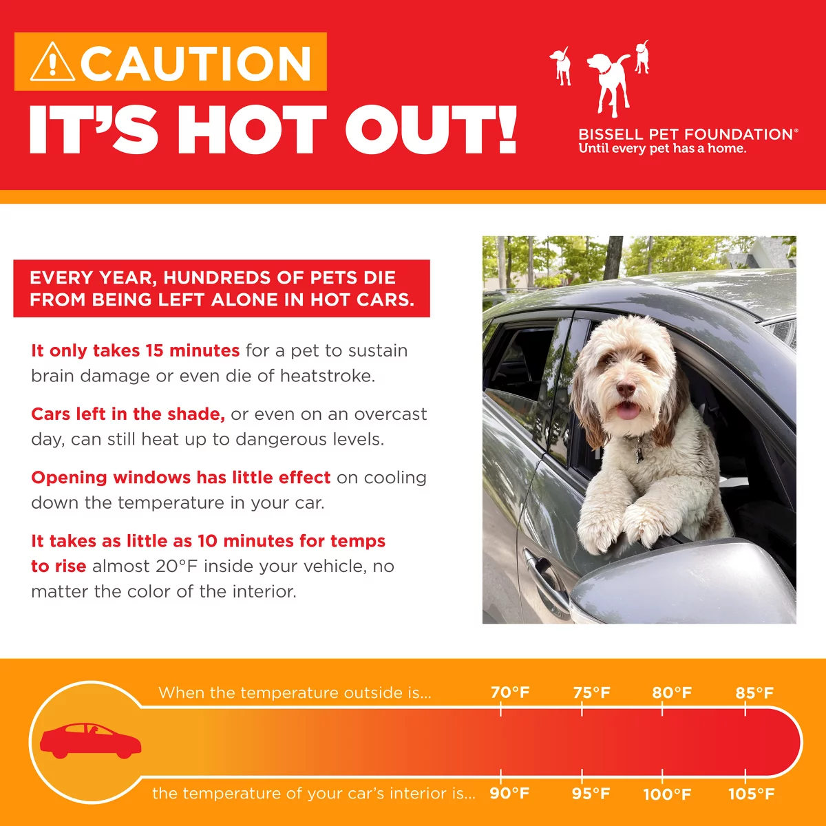 pets in hot cars informational shareable grahic