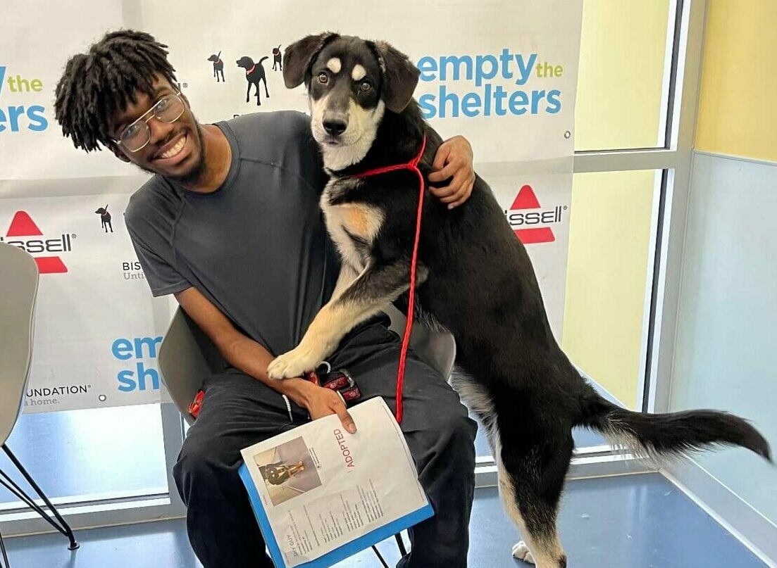A smiling person sits on a chair holding adoption papers as a large black and white dog with a red leash stands on its hind legs, placing its front paws on the persons lap. Empty the Shelters signs are in the background.