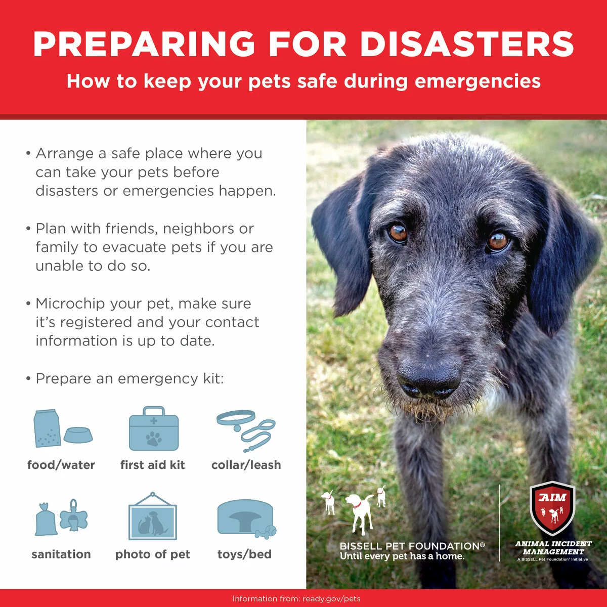 prepping for disaster infographic