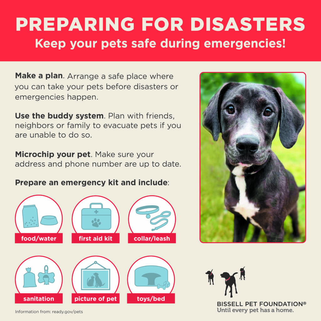 Learn how to keep your pets safe during emergencies