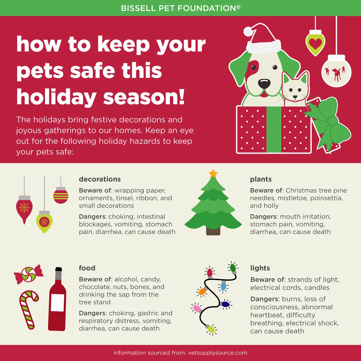 holiday pet safety
