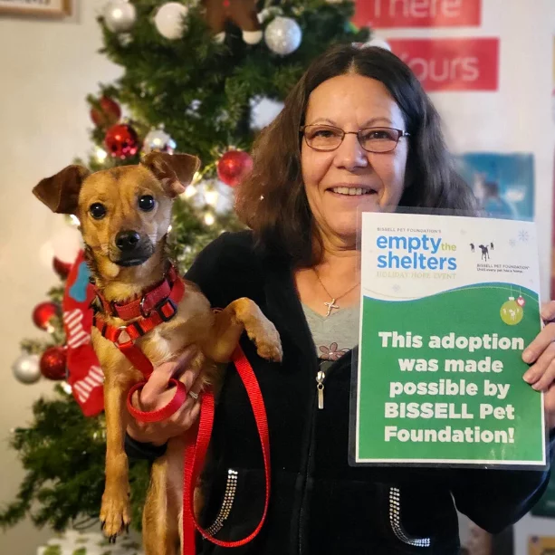 Woman poses with small brown dog by a Christmas tree for their adoption photo