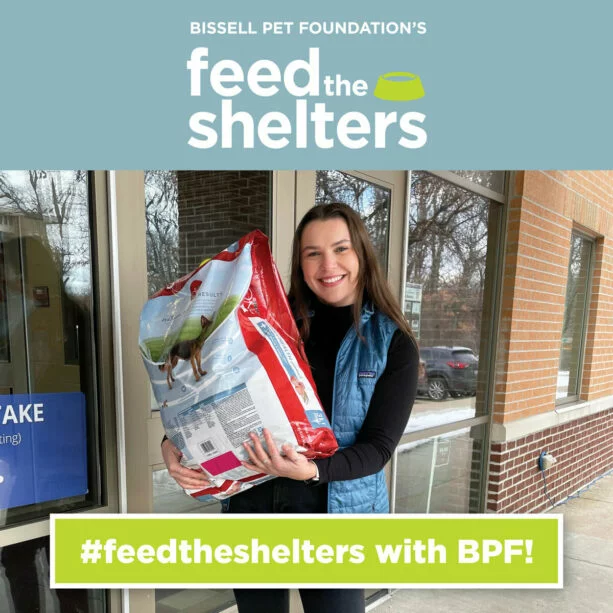 Feed the Shelters Donation