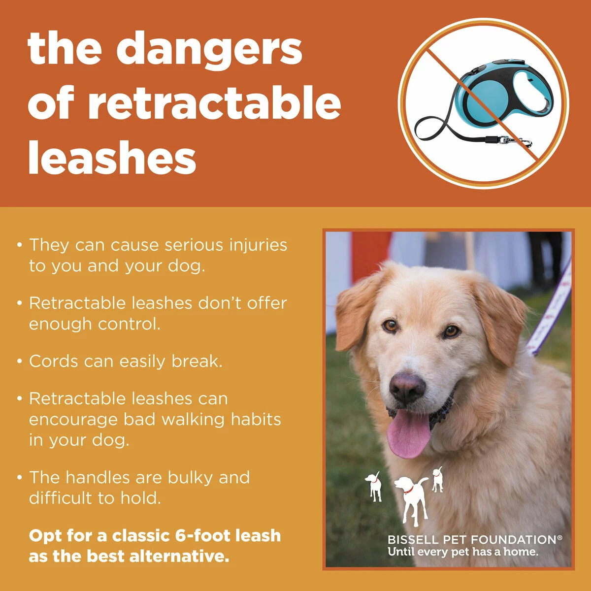 dangers of retractable leashes social graphic
