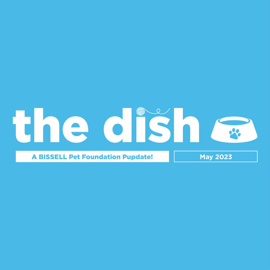may dish 