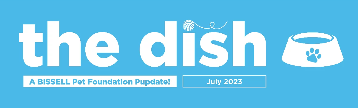 dish July