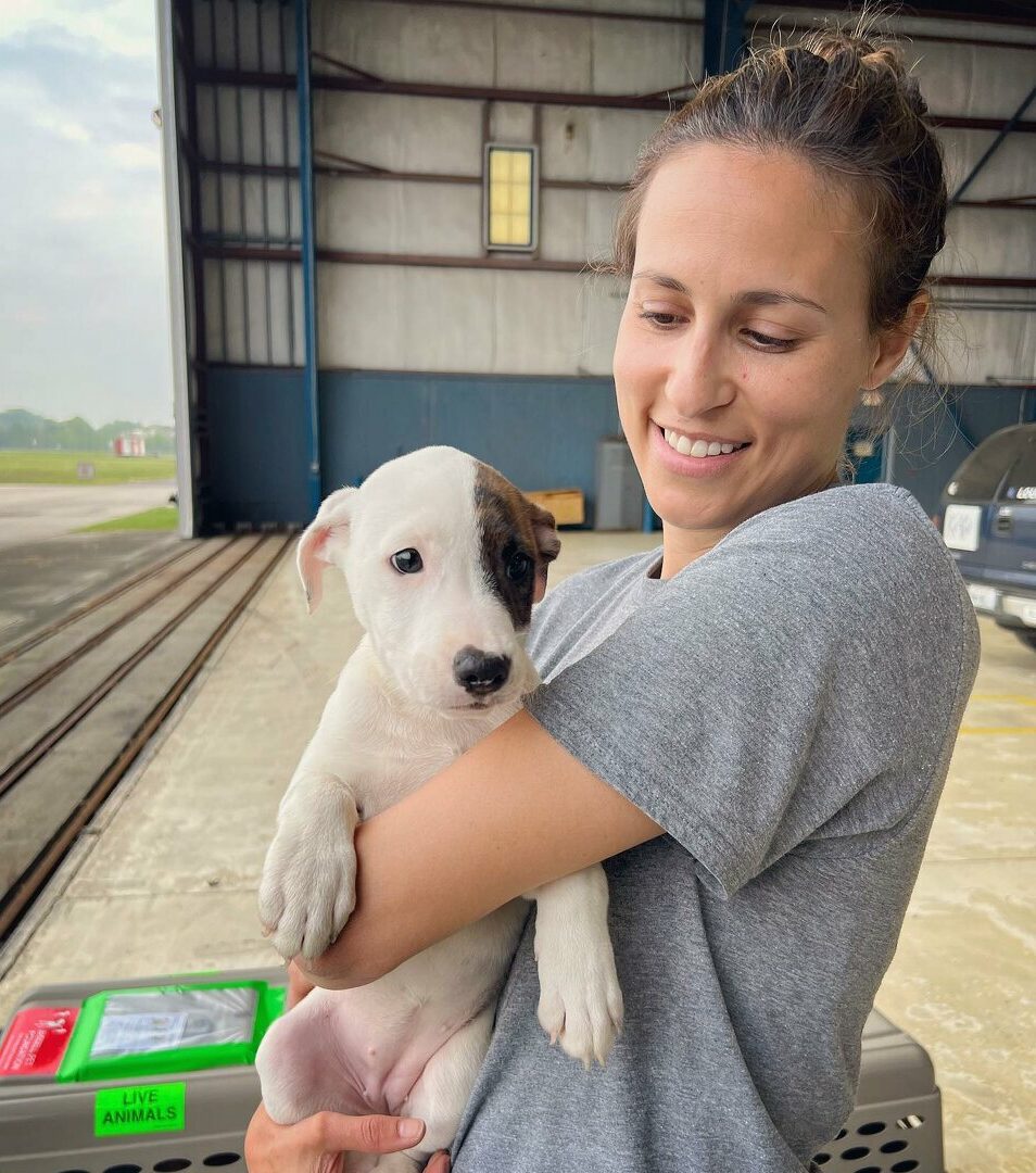 A smiling woman in a gray shirt holds a white puppy with a dark patch over one eye, standing inside a hangar near a crate labeled LIVE ANIMALS.