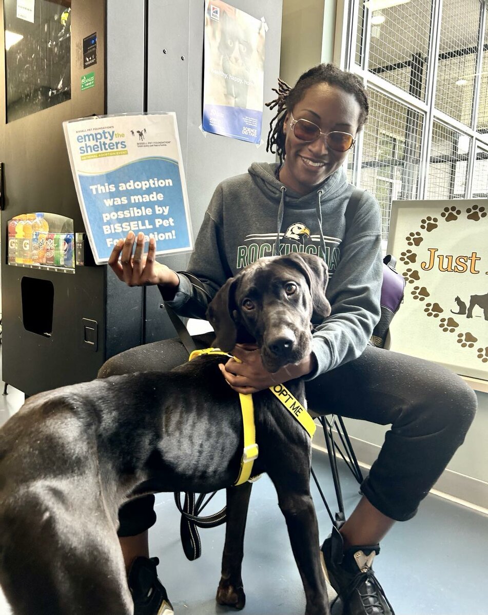 A person wearing sunglasses and a gray hoodie sits indoors, smiling and holding a sign about pet adoption next to a large black dog with a yellow Adopt Me harness. The background shows pet supplies and animal-themed decor.