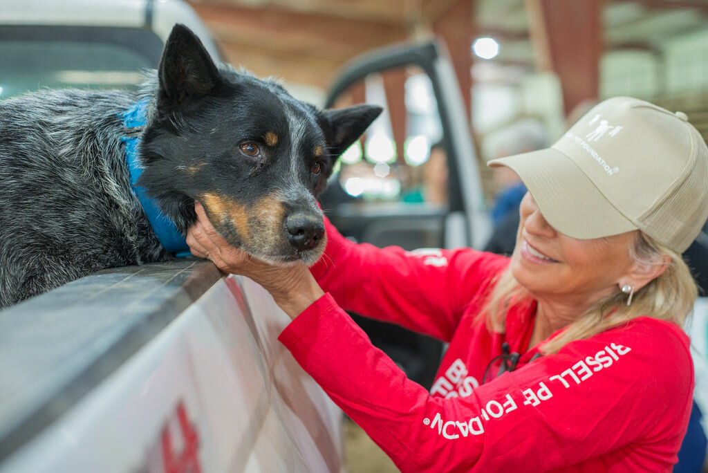A smiling woman in a red shirt and beige cap gently holds the face of a black and brown dog leaning out of a truck bed, showing affection. They are indoors, in what appears to be a barn or shelter.
