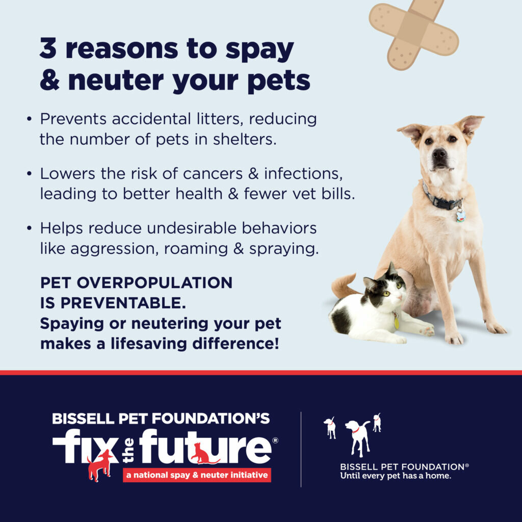 Infographic with a dog, a cat, and text listing 3 reasons to spay/neuter pets: prevents accidental litters reducing the number of pets in shelters, lowers health risks including cancers, infections and leads to a better overall pet health and few vet bills, and reduces bad behaviors like aggression, roaming and spraying. Pet overpopulation is preventable. Spaying or neutering your pet makes a lifesaving difference! Logos for Bissell Pet Foundation and their Fix the Future initiative are shown.