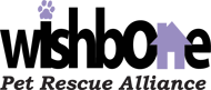 Logo with the words The MENTOR Network in black, featuring a purple abstract figure between MENTOR and Network and the tagline Building Relationships. Changing Lives. underneath.