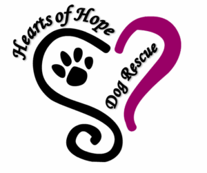A large magenta question mark is centered on a plain white background.