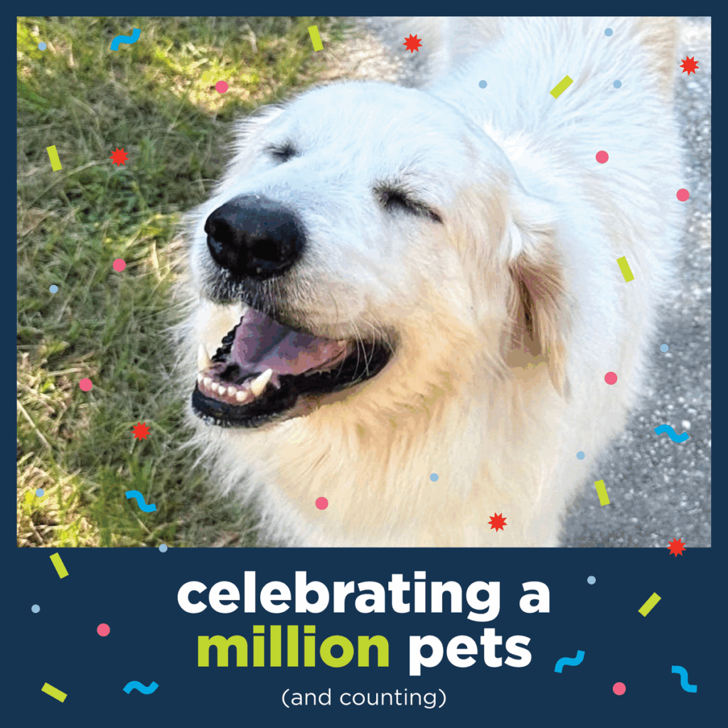 A happy, fluffy white dog smiles with eyes closed outside on a sunny day. Colorful confetti surrounds the dog. Text below reads: celebrating a million pets (and counting).