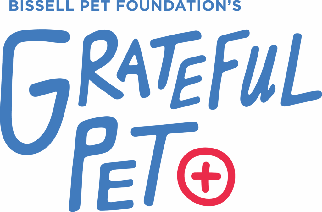 Logo for Bissell Pet Foundation’s “Grateful Pet+” campaign, featuring large, playful blue lettering and a red plus sign inside a circle.