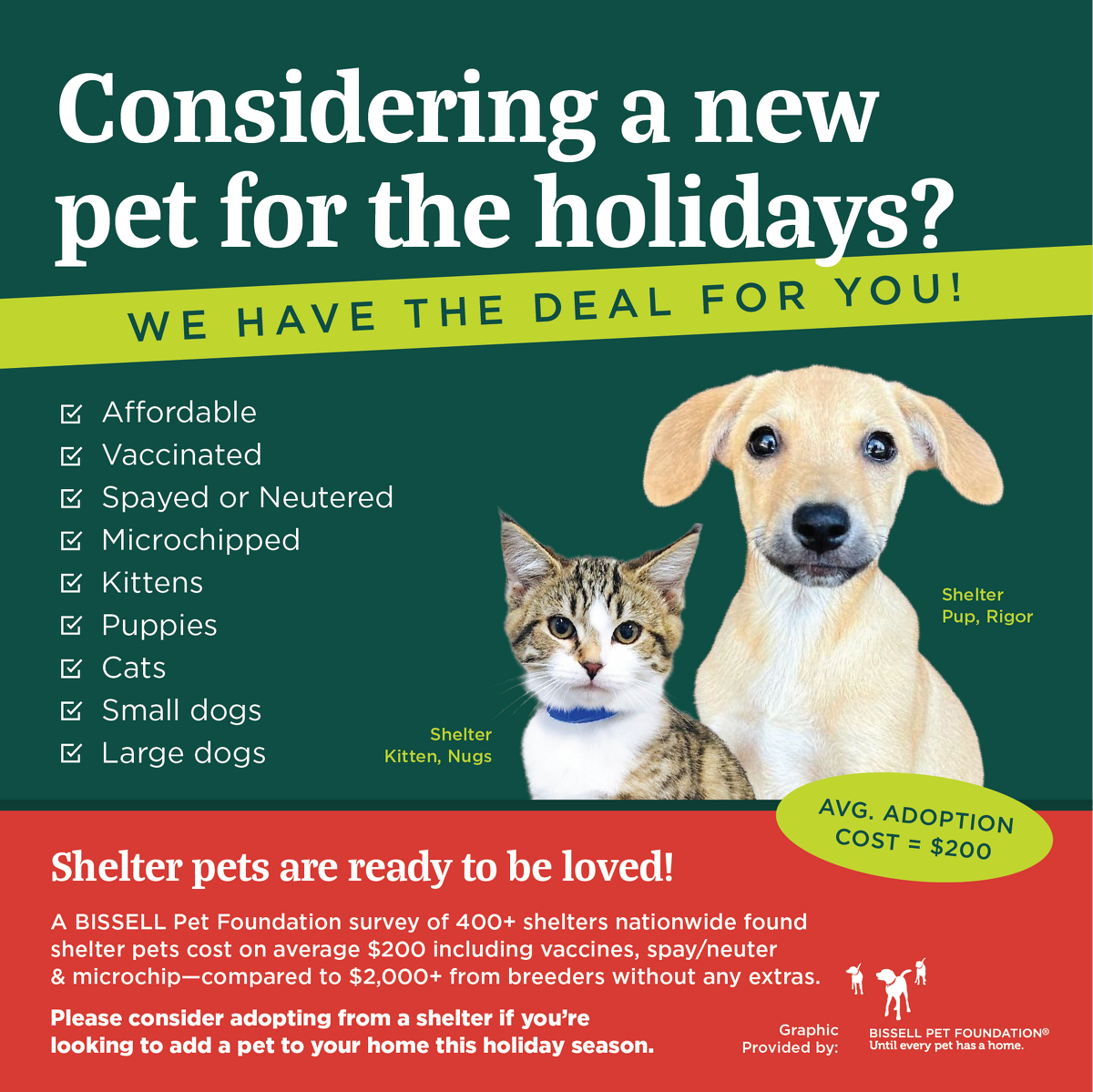 A holiday-themed flyer features a photo of a puppy and a kitten with text highlighting the benefits of adopting shelter pets, adoption costs, and encourages shelter adoption over breeders.