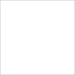 A completely blank white rectangle with a thin gray border, resembling an empty canvas or unused digital document.