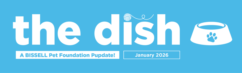 Light blue banner with white text reading the dish. A yarn ball and pet bowl with a paw print are included. Smaller text says A BISSELL Pet Foundation Pupdate! and January 2026.