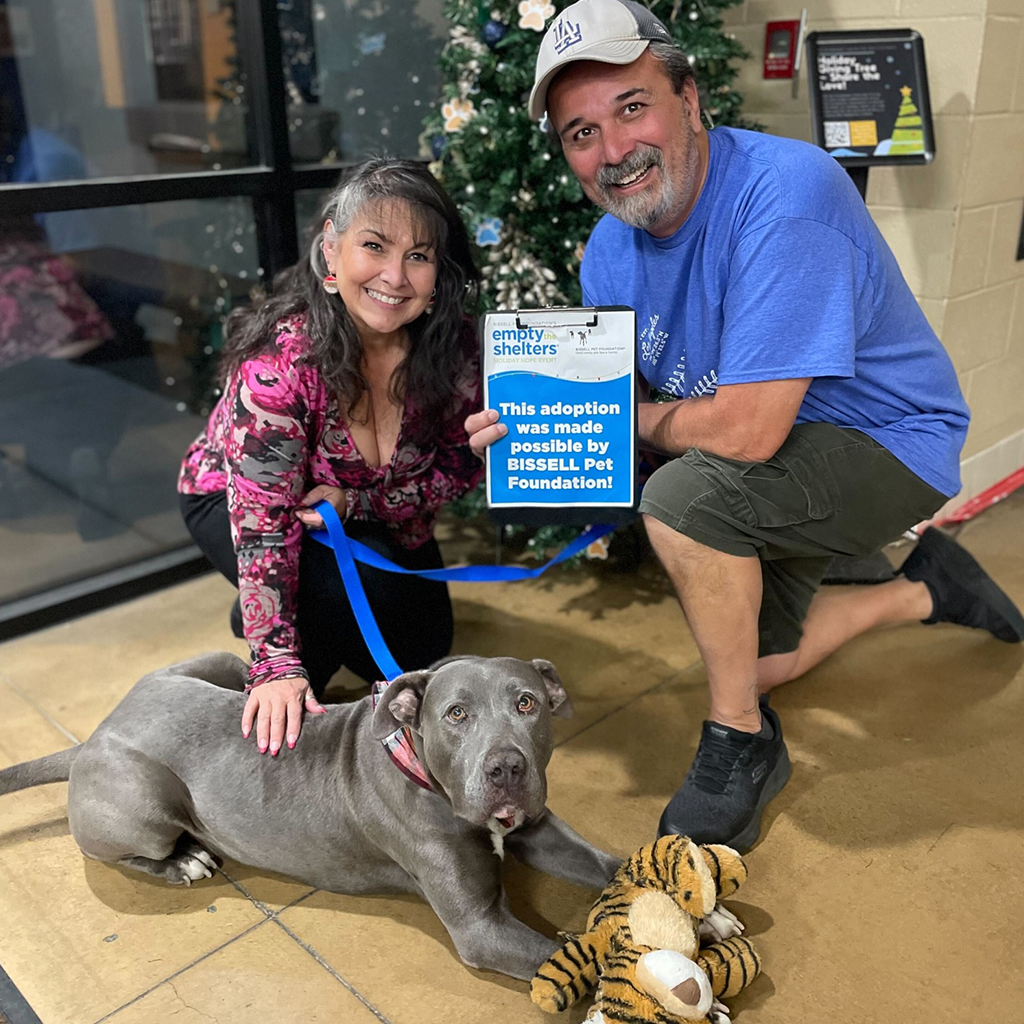 A smiling couple poses indoors with a large gray dog on a blue leash. The woman kneels beside the dog, while the man holds a sign about pet adoption. A plush tiger toy lies near the dog and a decorated tree is in the background.