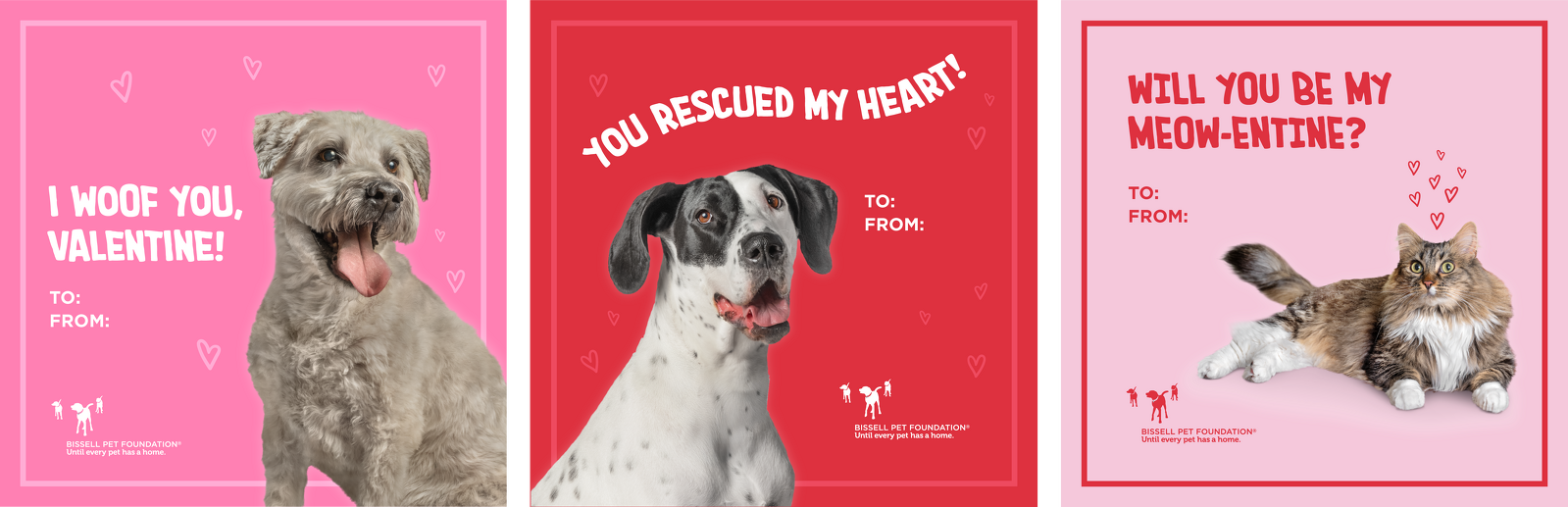Three Valentine cards featuring pets: a scruffy gray dog with I Woof You, Valentine!, a black and white dog with You Rescued My Heart!, and a fluffy cat with Will You Be My Meow-entine? Each has To/From lines.