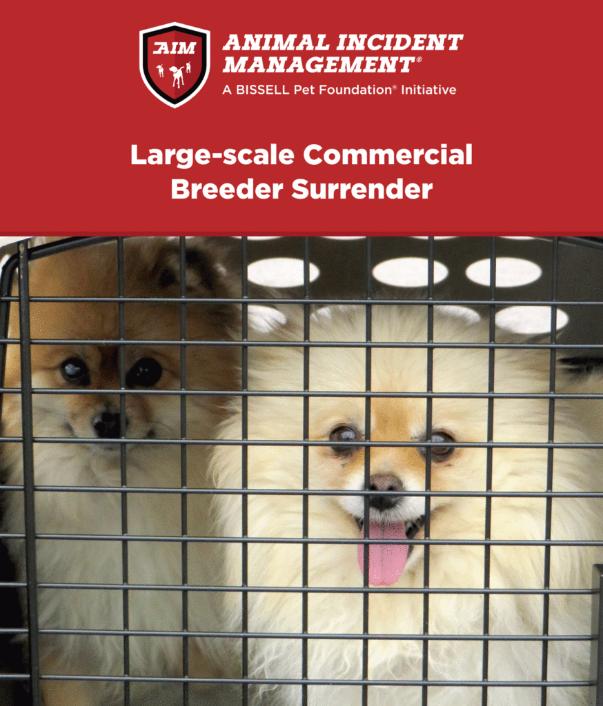 Two small fluffy dogs sit inside a pet carrier, looking out through the metal bars. The text above reads, “Large-scale Commercial Breeder Surrender” with the Animal Incident Management logo.