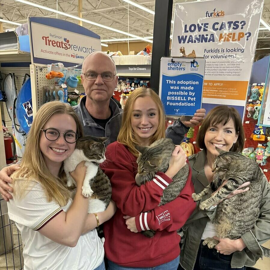Four people smile while holding three cats inside a pet store, standing in front of a sign for cat adoption and volunteering. Pet supplies and colorful signs are visible in the background.