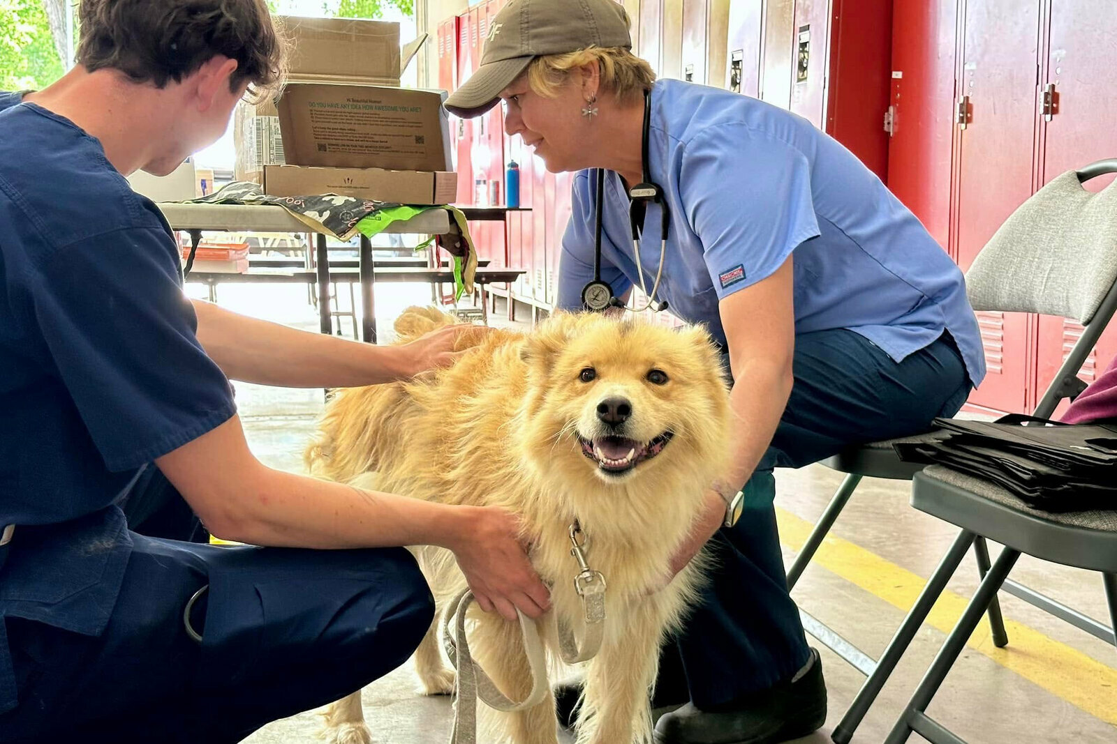 Two veterinary professionals in scrubs examine a fluffy tan and white dog, who is standing and looking happy. The setting appears to be a clinic with red lockers and cardboard boxes in the background.