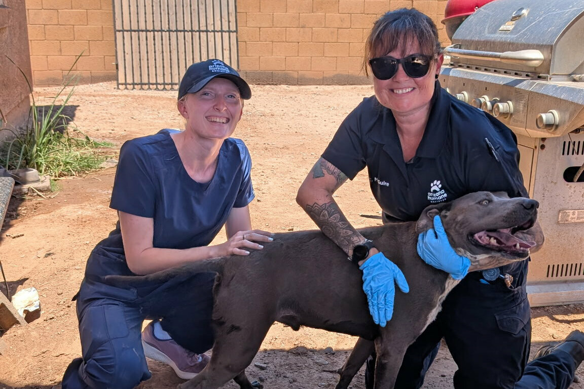 Two smiling people in uniforms kneel beside a happy gray dog outdoors. One person, wearing sunglasses and gloves, holds the dog, while the other gently pets it. A grill and brown brick wall are in the background.