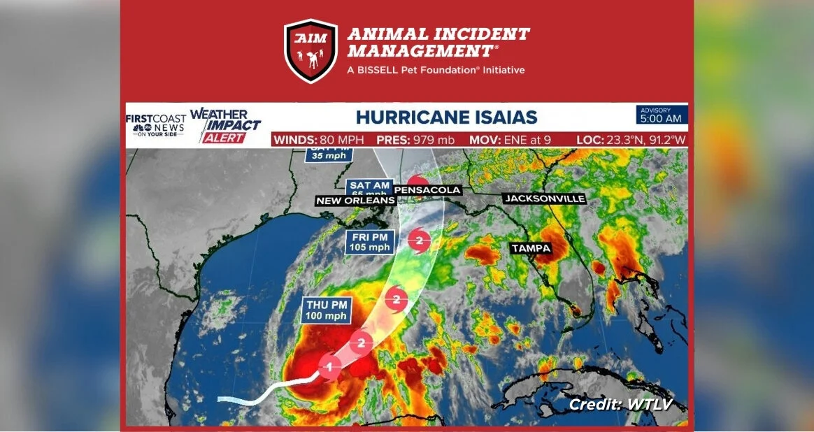 Weather map showing the projected path of Hurricane Isaias across the Gulf of Mexico, with storm intensity levels and wind speeds, presented by Animal Incident Management.