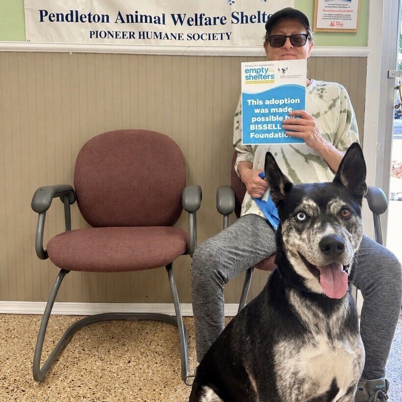A woman sitting in a chair at an animal shelter holds an Empty the Shelters sign, with a happy dog with mismatched eyes sitting in the foreground.